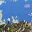Lost In Pacific