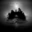 Year of No Light