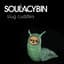 Soulacybin