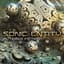 Sonic Entity