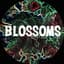 Blossoms