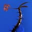 Depth Charge
