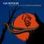 Guster
