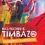 Nils Fischer & Timbazo