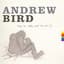 Andrew Bird