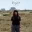 Bryde