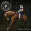 Steve ´n´ Seagulls