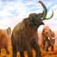 Funkmammoth