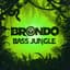 Brondo