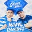 Animal Cannibals