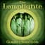 The Lamplighters