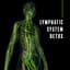 Lymphatic Phlegm