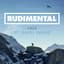 Rudimental