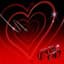 Younite