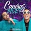 Caneras