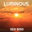 Luminous