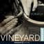 Vineyard Worship