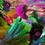 Flume