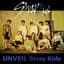 STRAY KIDS
