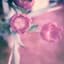 Rose Cousins