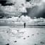 Dhafer Youssef