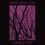Dead Branches