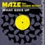 Maze