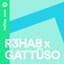 R3hab