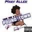 Marv Allen