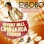 DJ Bobo