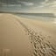 The Silent Tide