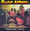 Flamin' Groovies