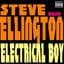 Steve Ellington Band