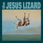 The Jesus Lizard