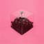 Chrome Sparks