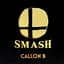 Super Mash Bros.