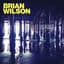 Brian Wilson