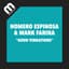 Mark Farina