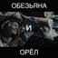 обезьяназ