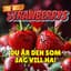 The Wild Strawberrys