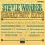 Stevie Wonder