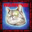 HAVE YOU SEEN THIS CAT?