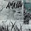 Amason