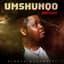 Dladla Mshunqisi