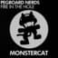 Pegboard Nerds
