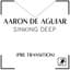Aaron de Aguiar