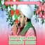 Mueen Qadri Bangalore