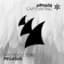 Protoculture