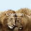 Charleon
