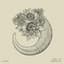 Gooseflesh